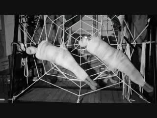 two slave girls caught in a web and mummified